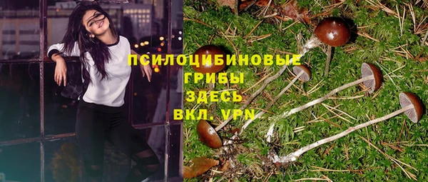 трава Алзамай